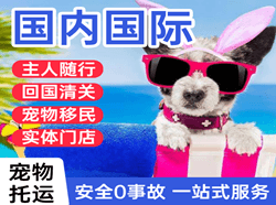 烟台航空运输国际宠物托运 【国